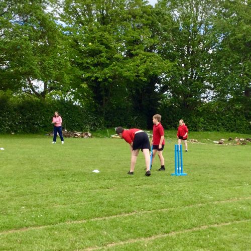 Year 6 Cricket