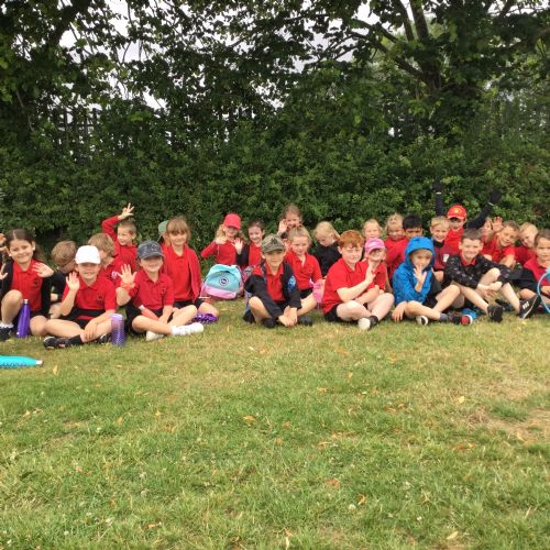 All Stars Cricket
