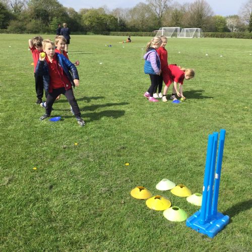 All Stars Cricket Festival