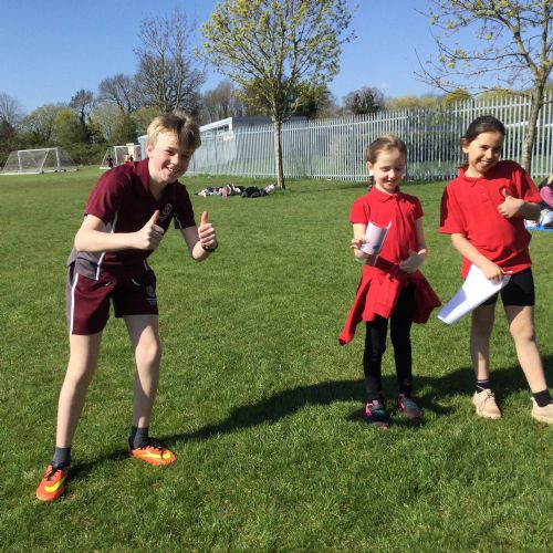 Orienteering Festival